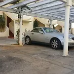 Cactus *