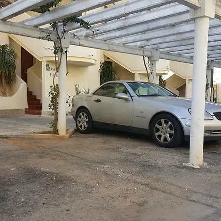 Cactus *