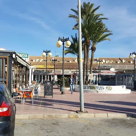 Cactus Apartamento Dénia