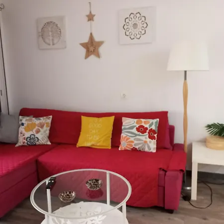 Cactus Apartment